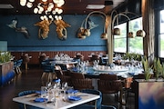 Blue Pearl is a fish-centric restaurant in Urby, a residential complex anchored by restaurants and located in Stapleton. (Courtesy of Bread & Butter Hospitality)