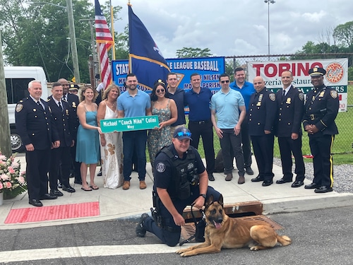 MTAPD family